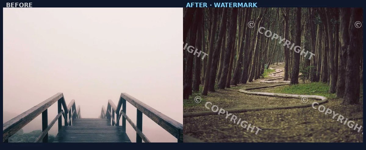 Illustrative before and after of adding a copyright watermark