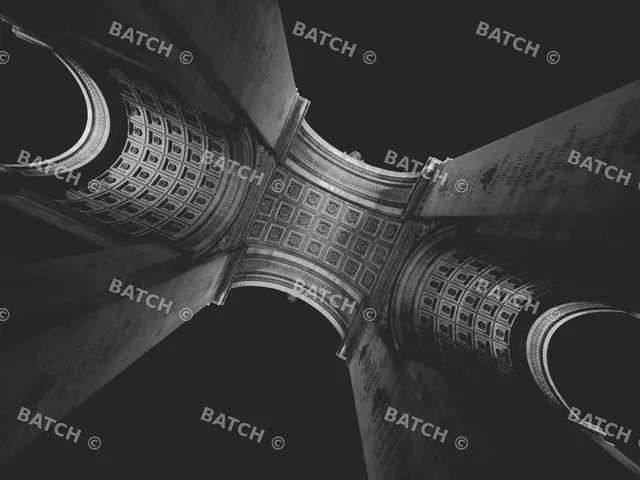 Batch watermark download
