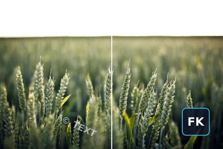Text and logo watermark modes