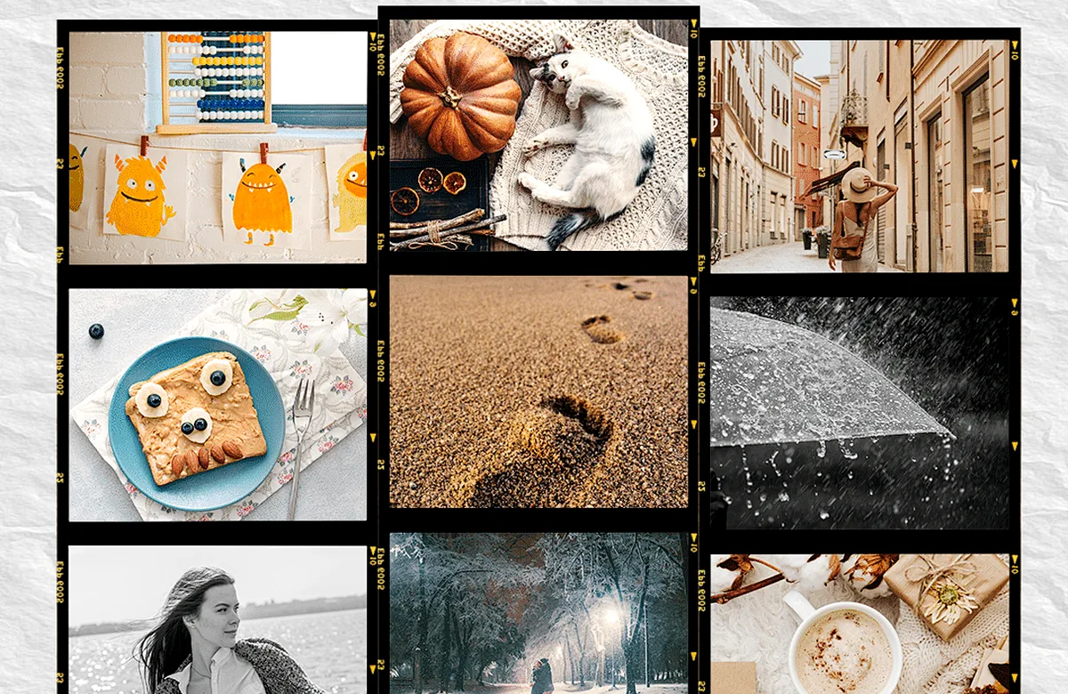 Profile grid reveal use case